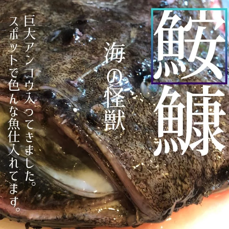 メニューにない魚も仕入れてます🐟@北海道/札幌/居酒屋/個室/海鮮/焼鳥/喫煙可/人気/おすすめ