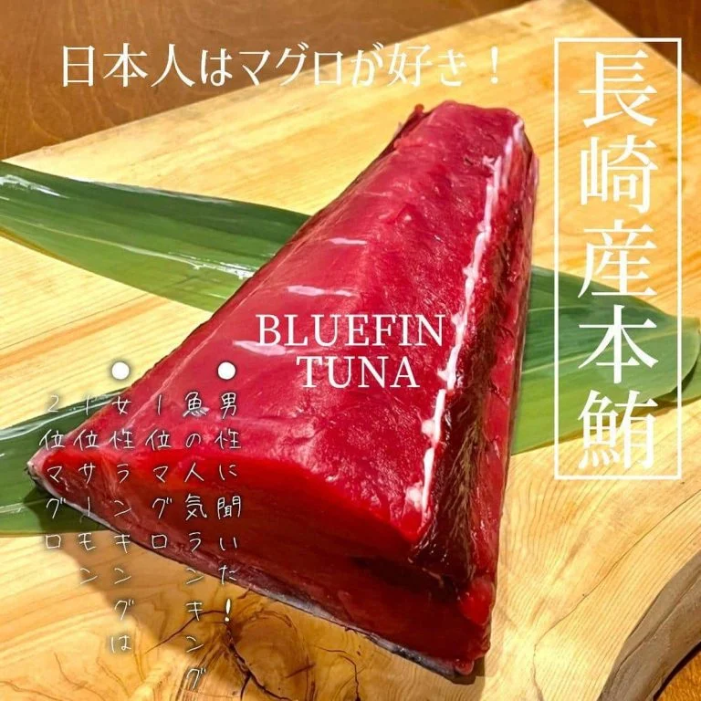 【日本人はマグロ好きが多い国！】