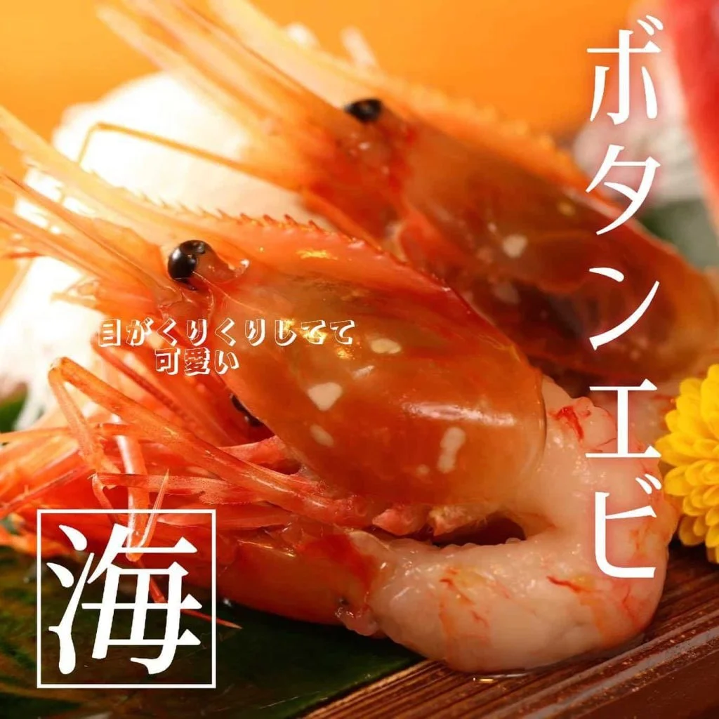 ボタンエビーーーー🦐@北海道/札幌/居酒屋/個室/海鮮/焼鳥/喫煙可/人気/おすすめ/宴会/飲み放題/日本酒
