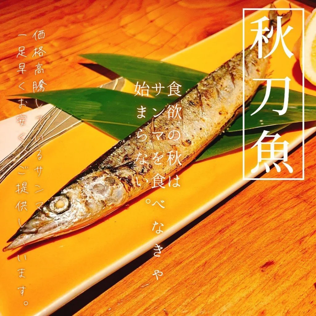 【秋刀魚スタート🐟】