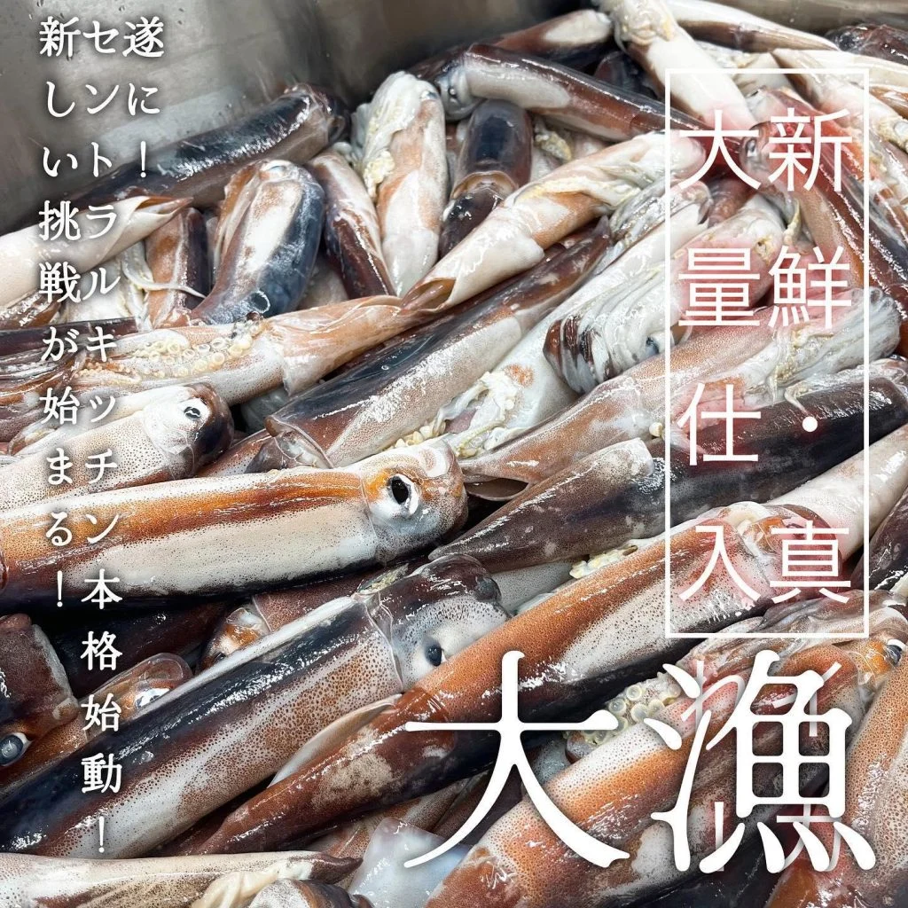 【🌊真イカ大漁🦑】