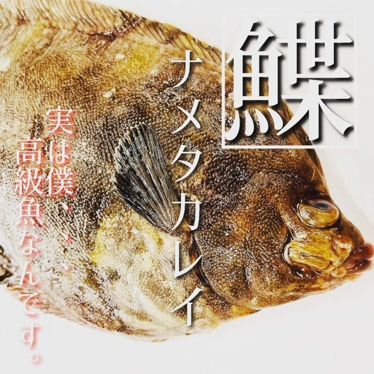【ほっかいどう応援クーポン】