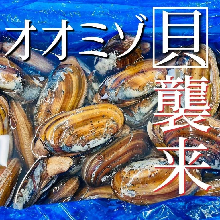 【ほっかいどう応援クーポン】