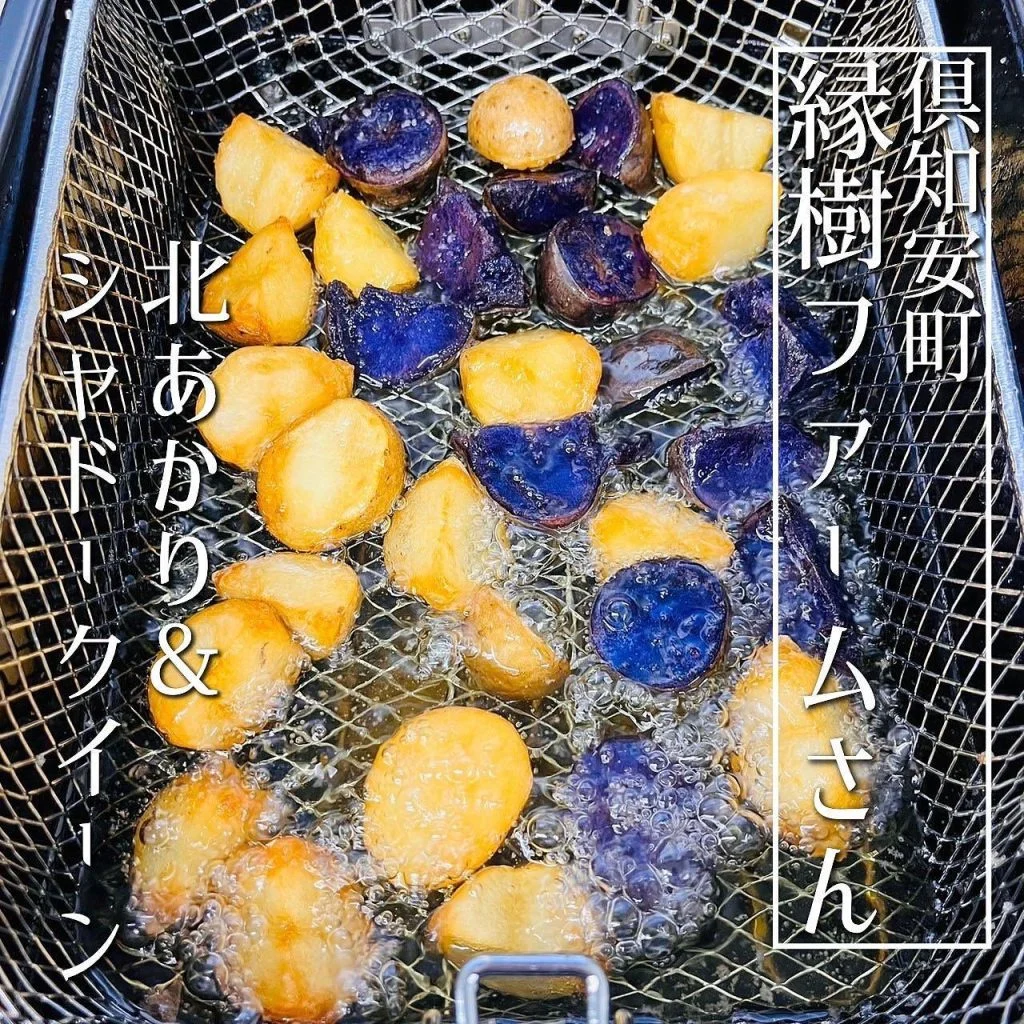 【ほっかいどう応援クーポンが使えるお店】 @北海道/札幌/居酒屋/個室/海鮮/焼鳥/喫煙可/人気/おすすめ/宴会/飲み放…