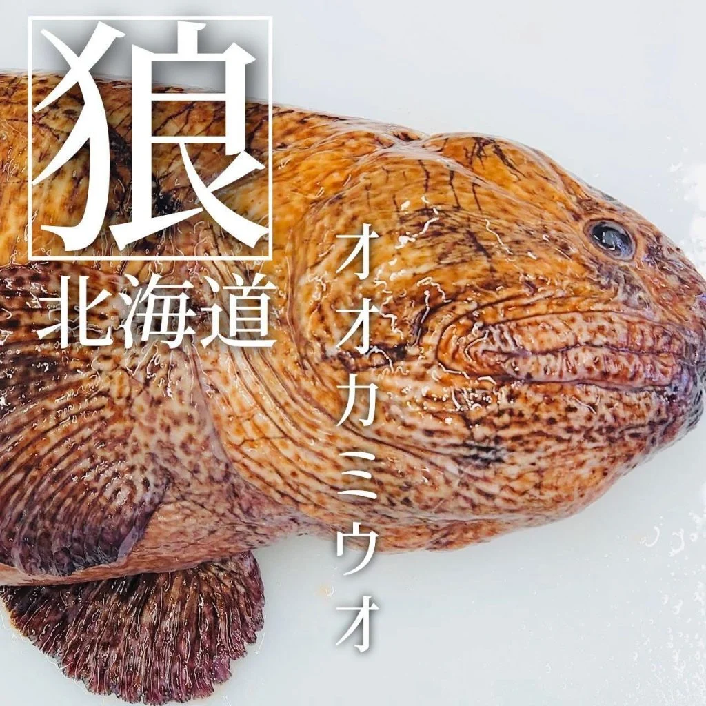 【喫煙OK】札幌駅周辺で宴会ができるお店をお探しなら！