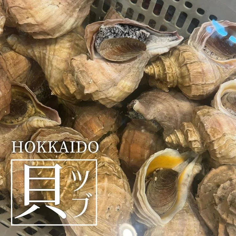 【喫煙OK】札幌駅周辺で宴会ができるお店をお探しなら!