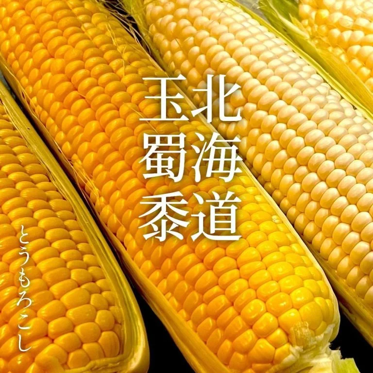 【喫煙OK】札幌駅周辺で宴会ができるお店をお探しなら!