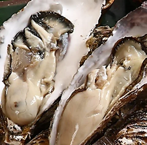 札幌で新鮮な海の幸を心ゆくまでご堪能できる海鮮料理で贅沢な宴を楽しみませんか
