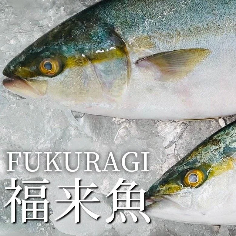 【忘年会予約開始】