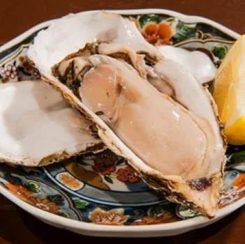 北海道の地酒と新鮮な牡蠣を楽しむ！地産地消を当店で満喫しませんか？